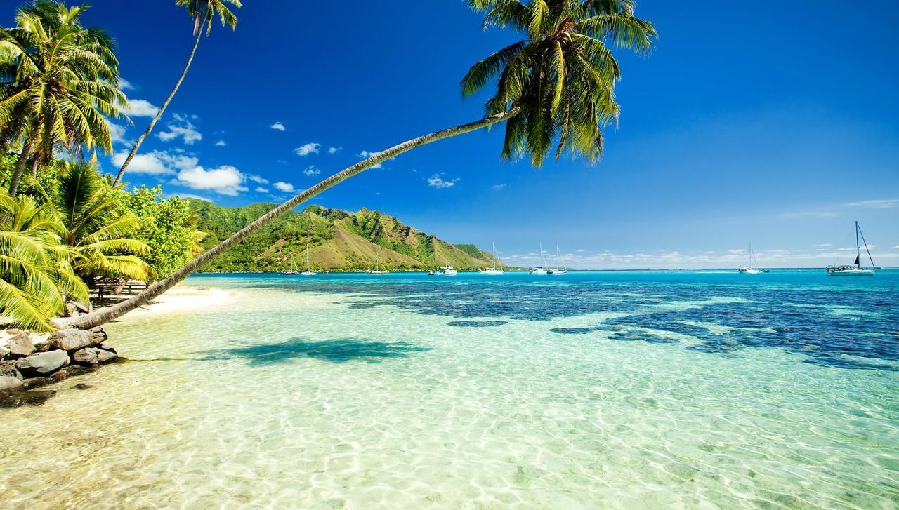 Hono Koa Vacation Club Apart otel Lahaina Dış mekan fotoğraf